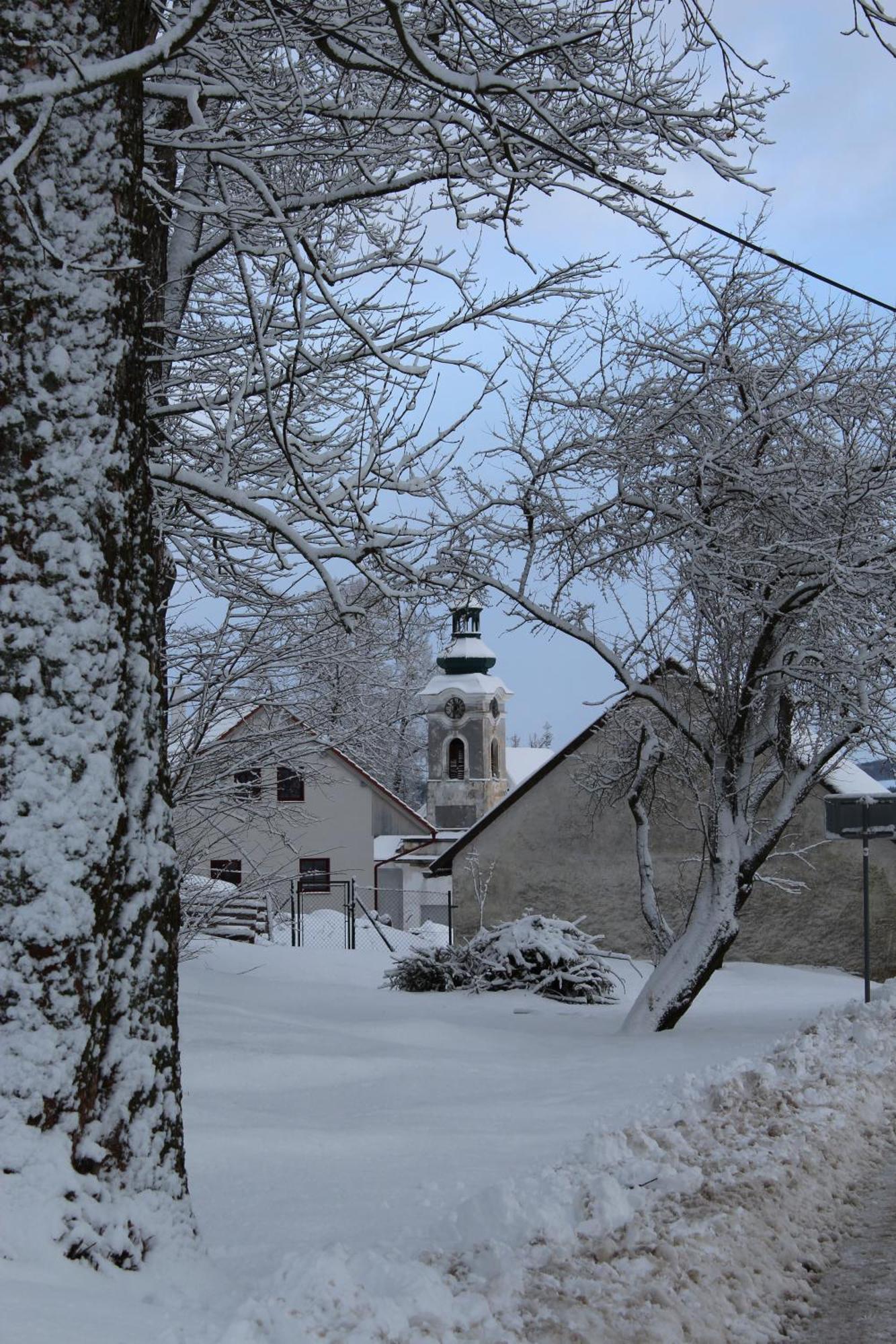Ubytovani Praschlhaus Horní Planá Extérieur photo