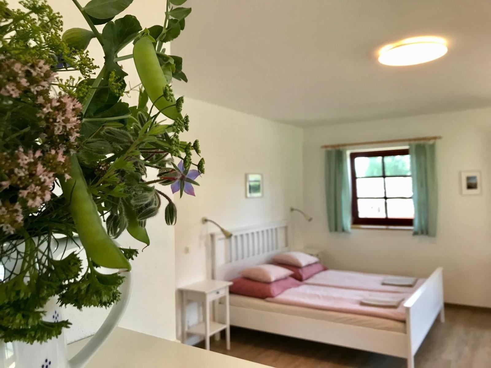 Ubytovani Praschlhaus Horní Planá Extérieur photo