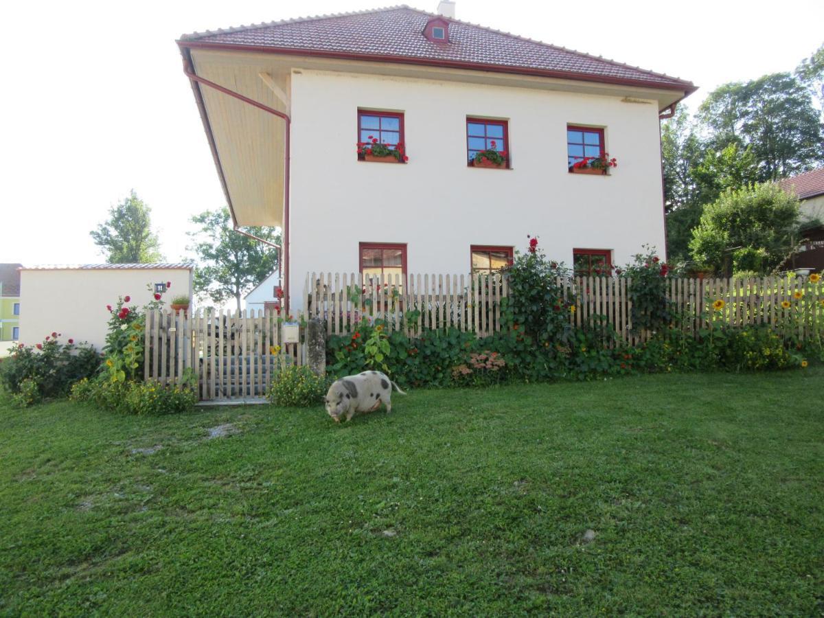 Ubytovani Praschlhaus Horní Planá Extérieur photo
